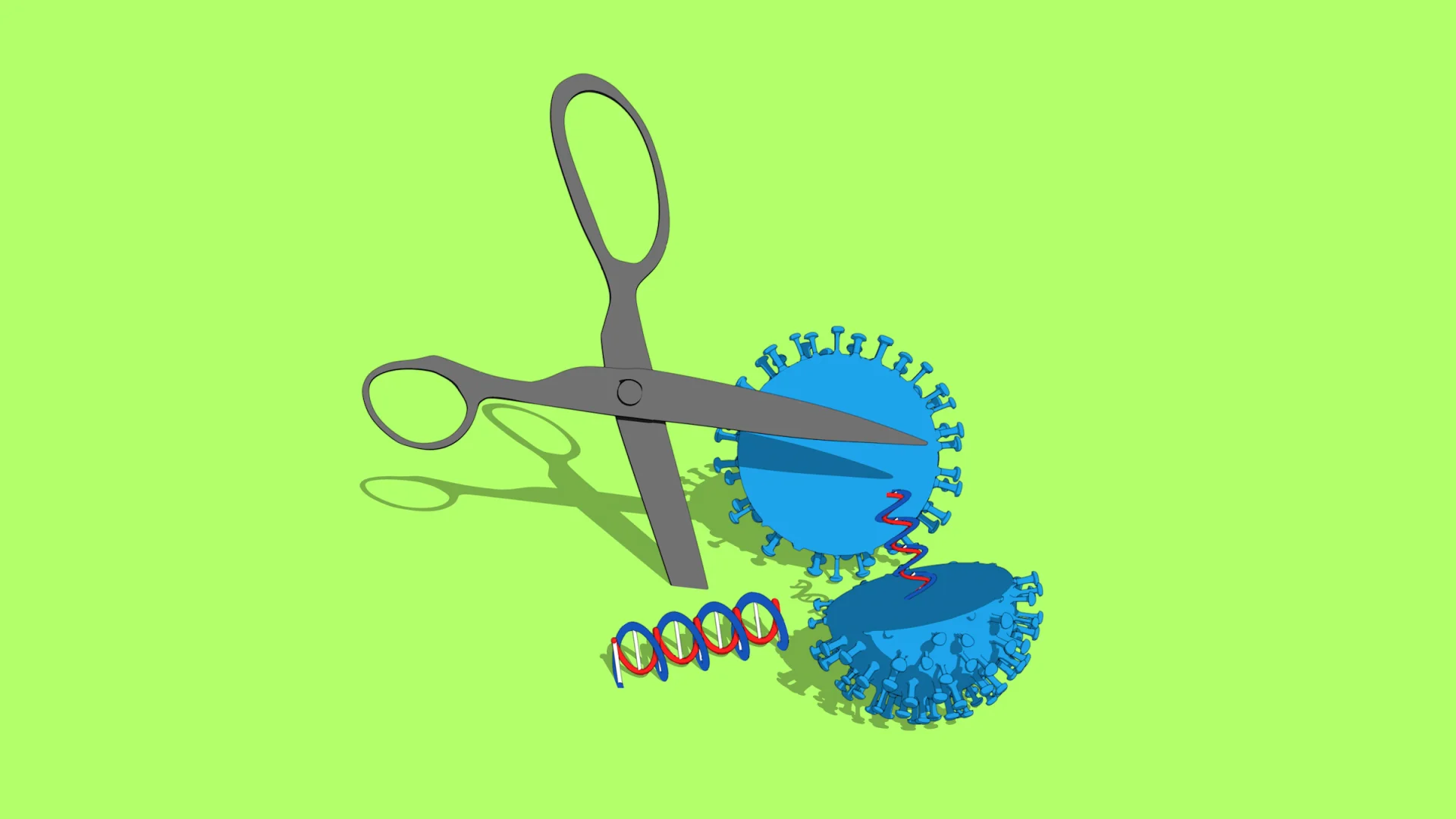 Scissors dna and coronavirus cut in half